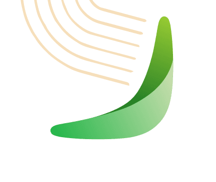 Boomerang